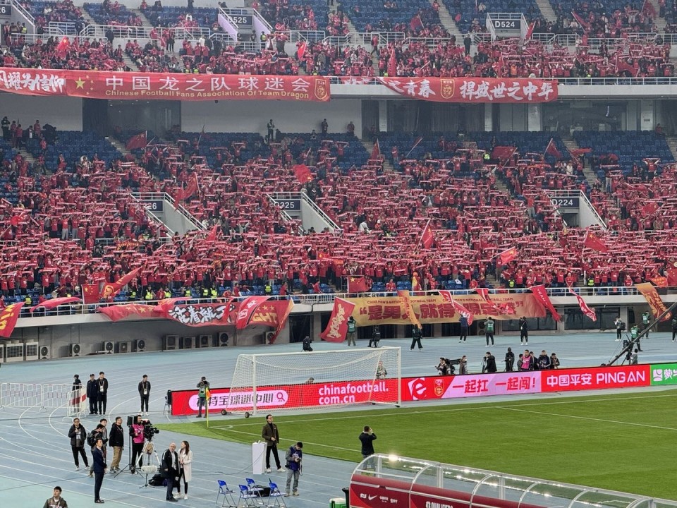 球迷热情支持，现场气氛热烈动人的简单介绍